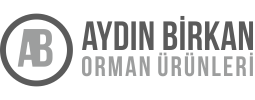 Aydin Birkan Logo